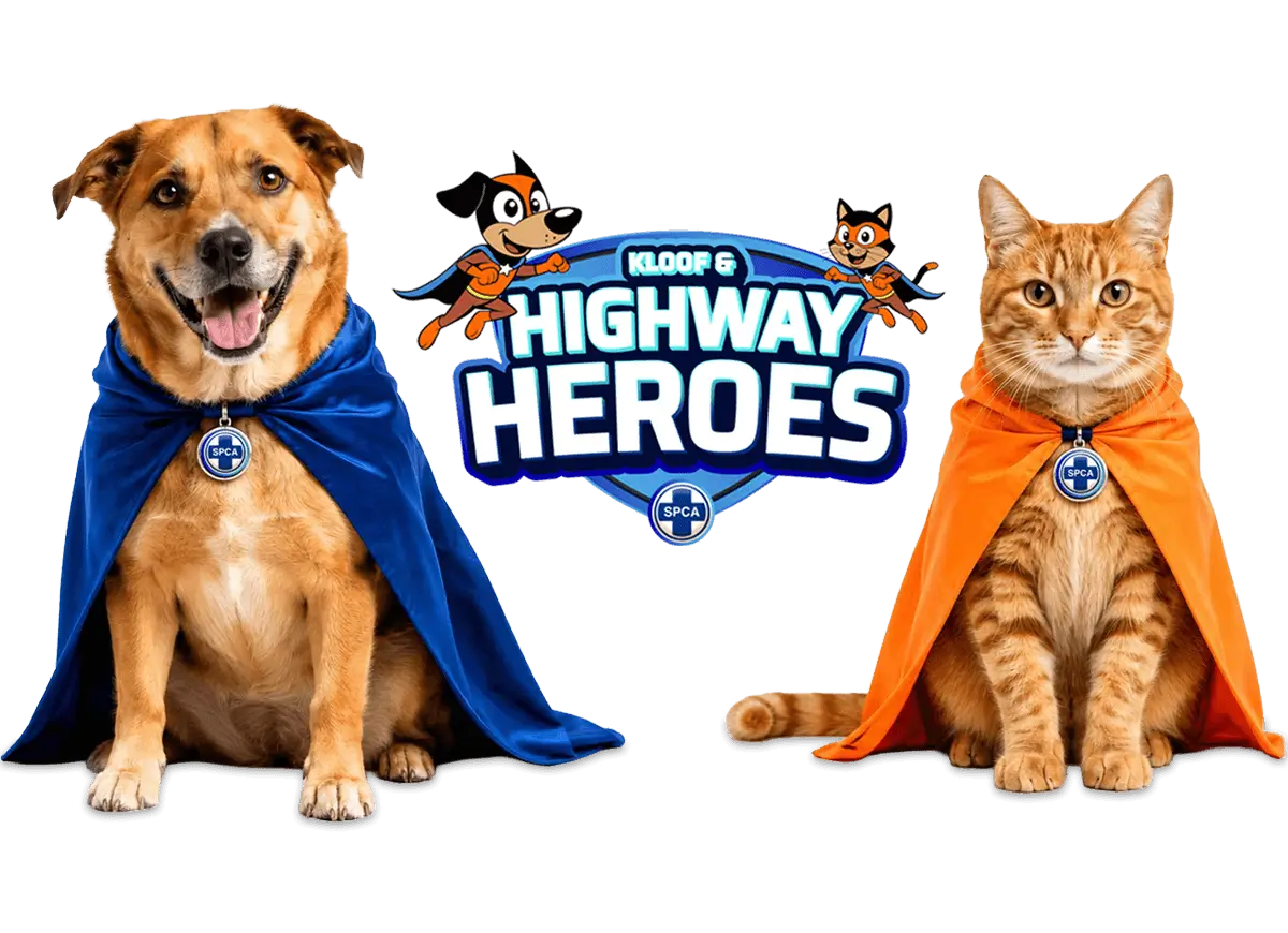 Kloof and Highway SPCA Highway Heroes