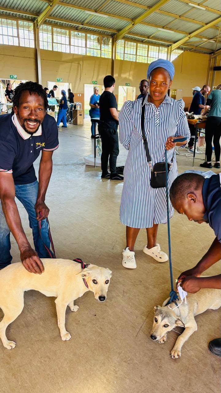 Kloof & Highway SPCA team members and dogs at a Molweni outreach clinic