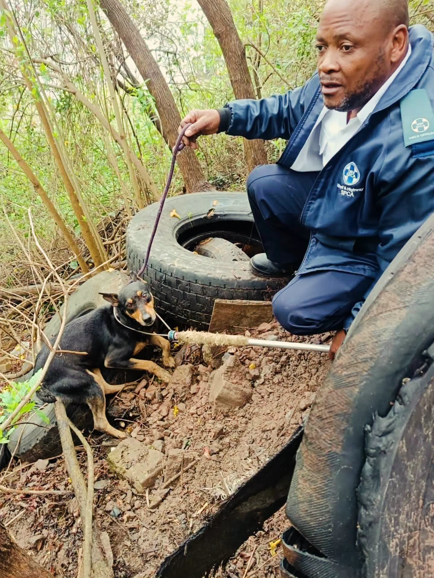Kloof & Highway SPCA field officer beside the rescued dog and discarded tyres