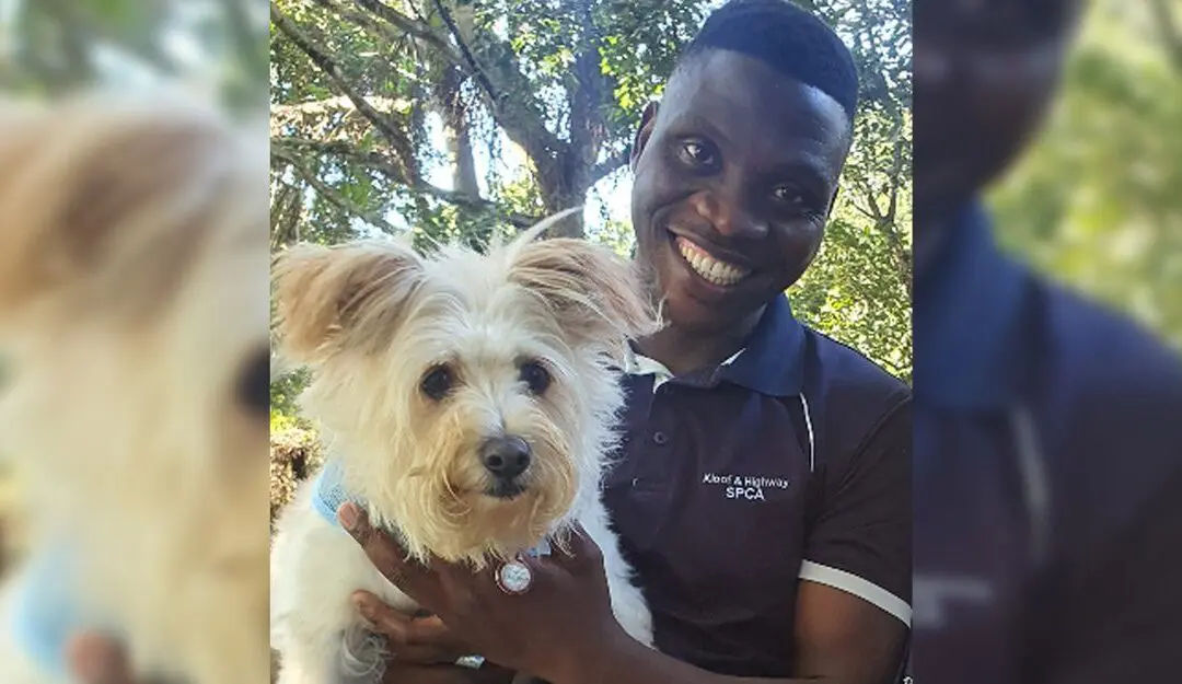 SPCA Hero – Siya Ntuli