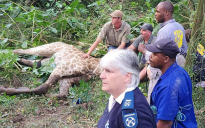 It wasn’t the usual call out