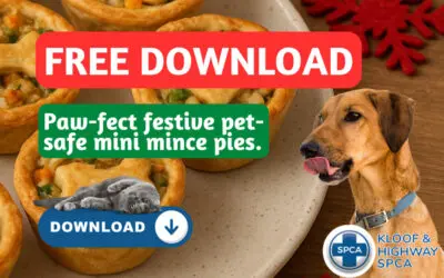 Paw-fect Festive Pet-safe Mini Mince Pies