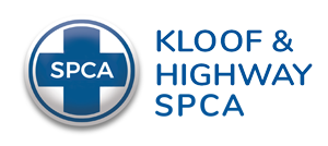 Home Spca Kloof And Highway