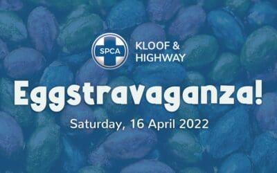 Eggstravaganza: Saturday 16 April 2022