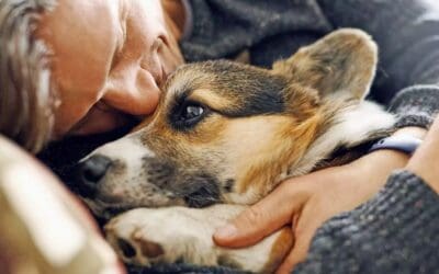 Health and Companionship