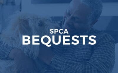Did You Know: Bequests