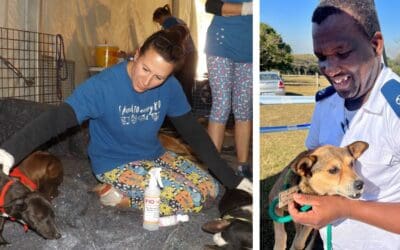 Sterilisation Clinic – saving lives one sterilisation at a time!