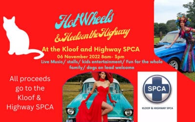 November – December Events