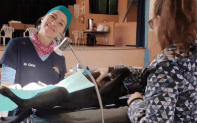 Your gifts at work