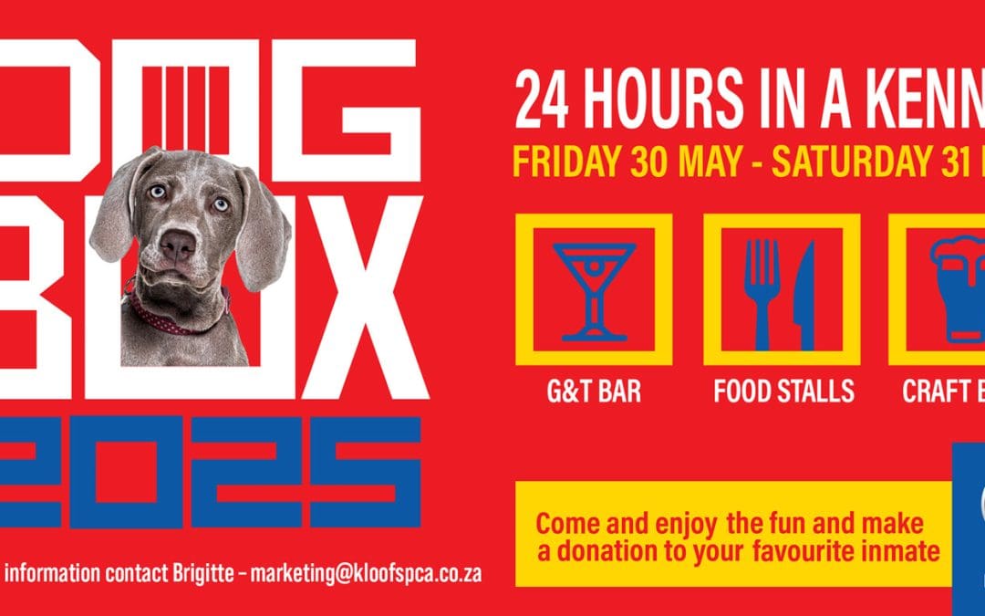 2025 24hr Challenge Dog Box Event 30 May at Kloof and Highway SPCA