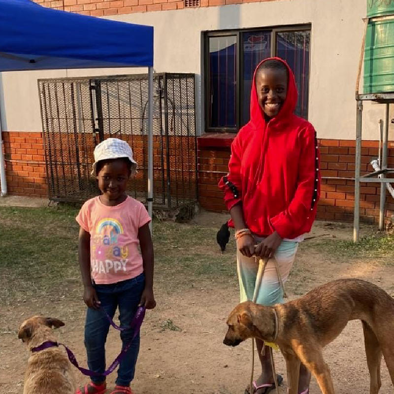 Outreach-Projects-Kloof-Highway-Spca (5)