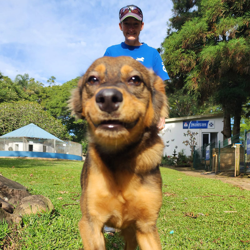 kloof-highway-spca-online-donations-1