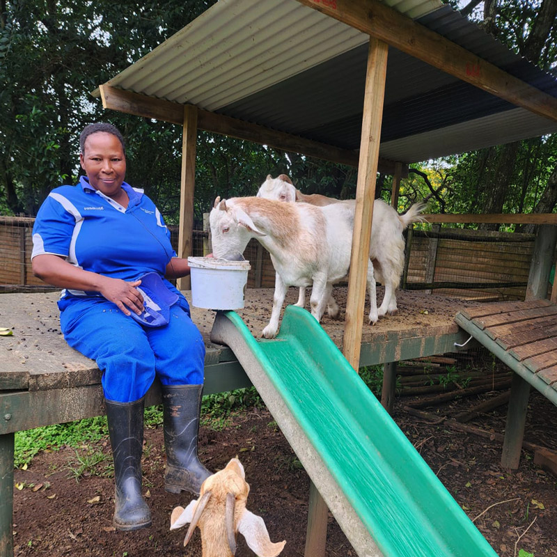 kloof-highway-spca-online-donations-4