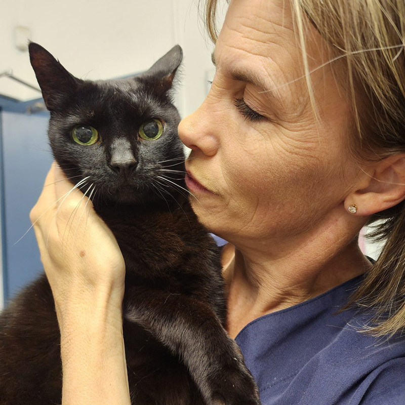 kloof-highway-spca-online-donations-5
