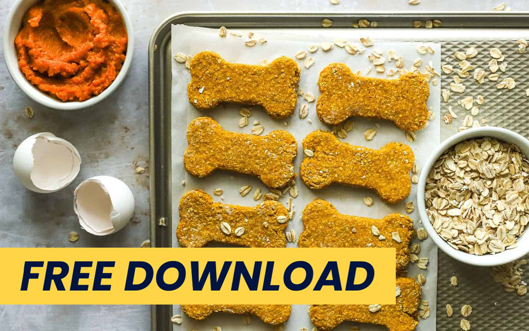 Download Homemade Treats Recipe