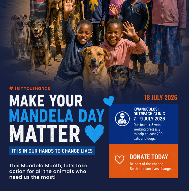 mandela day 2026