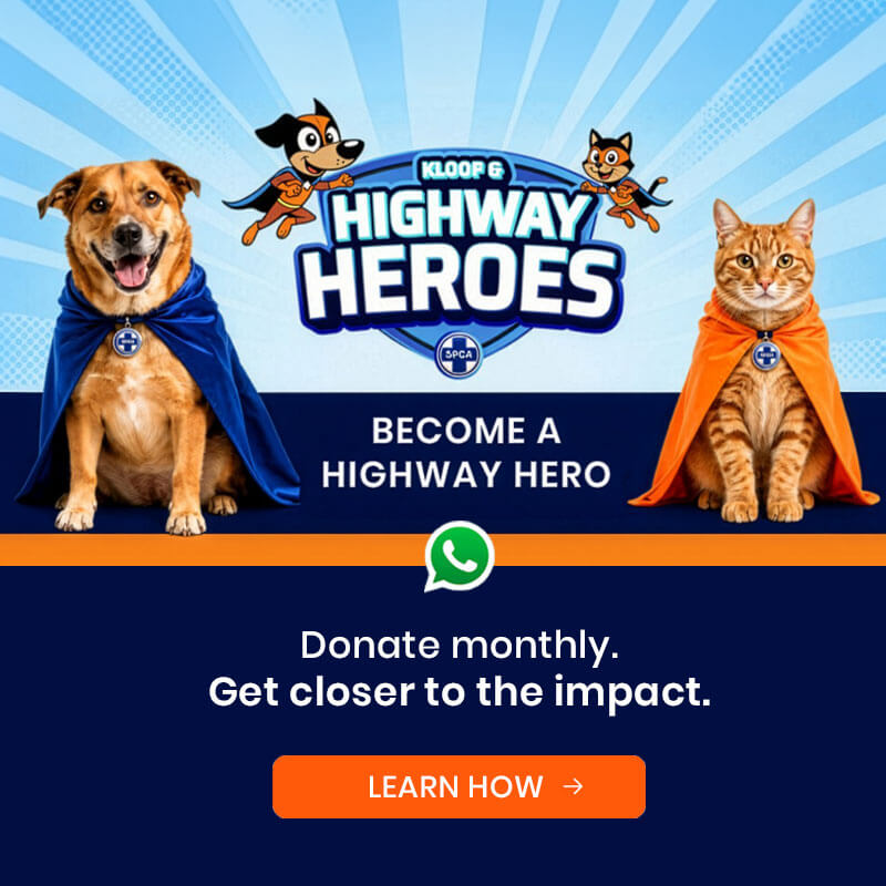 kloof and highway heroes 2026